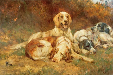 Wachten op de Kanonnen